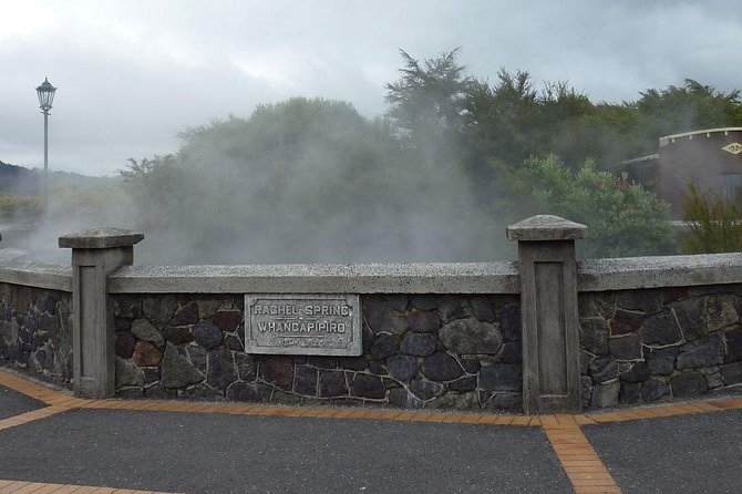 6.5 hour Small-Group Rotorua Naturally Shore Excursion - Tauranga - Rotorua from Tauranga, packed into a well-paced highlights day