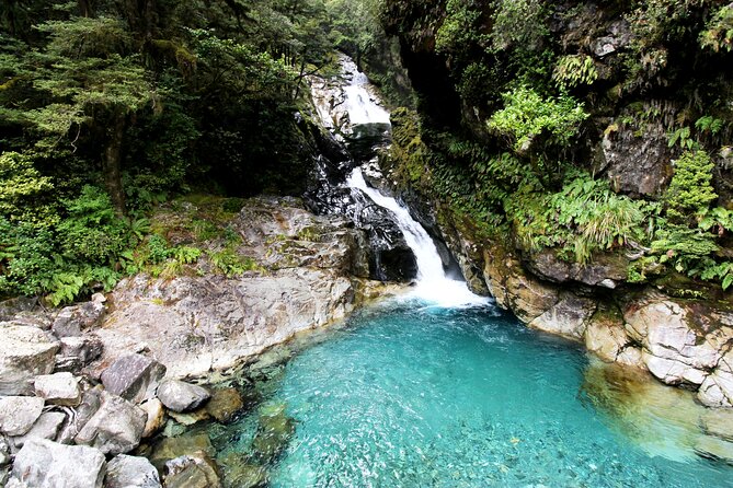 6 Day South Island New Zealand Private Tour from Christchurch - Day 6 Te Anau Glowworm Caves and a Kiwi Park or hot pool finale