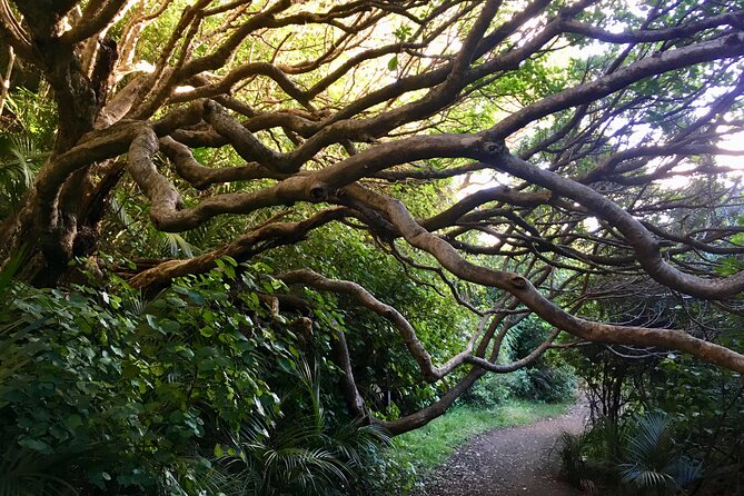 6 Hours Sightseeing Tour in Auckland - Key highlights at a glance