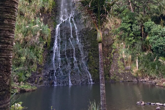 6 Hours Sightseeing Tour in Auckland - Price and value: Is $179.97 worth it for 6 hours?