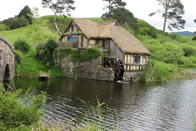 6hr Hobbiton Movie Set Tour - Departs Tauranga - Who should book this Hobbiton tour from Tauranga