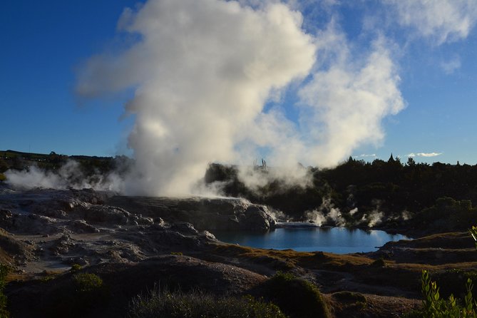 7 Hours Te Puia Rotorua Tour from Tauranga with Concert - Key highlights that make this tour worth a look
