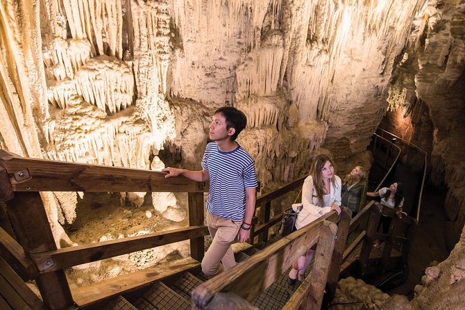 90-Minute Guided Ruakuri Cave Tour Waitomo - Ruakuri Cave in Waitomo: what makes it different