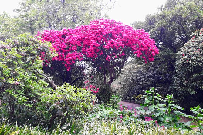 A 2 hour Small Group Dunedin City Highlights Tour - Dunedin Botanic Garden: the stop you’ll remember