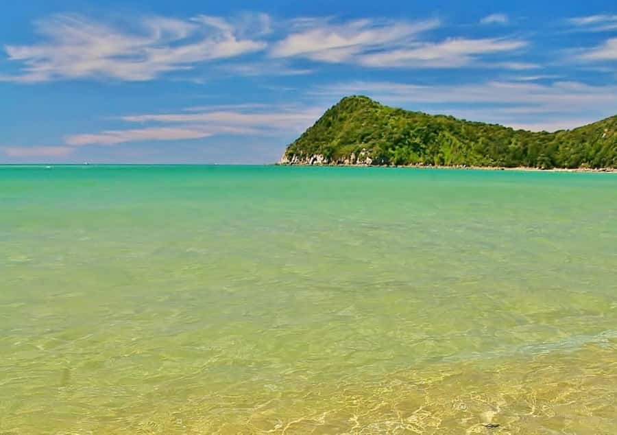 Abel Tasman National Full Park Scenic Cruise - Who should book this, and who might want a different option
