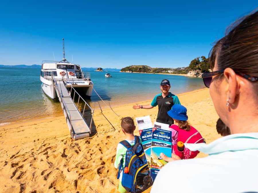 Abel Tasman National Full Park Scenic Cruise - Wildlife from the best seat in the house
