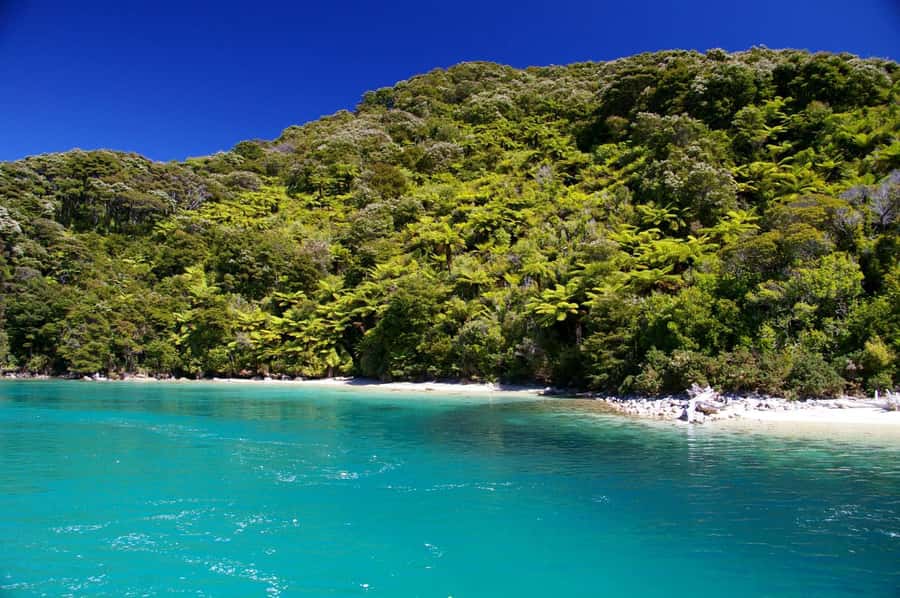 Abel Tasman National Full Park Scenic Cruise - How long you’ll be on board, and how to stay comfortable
