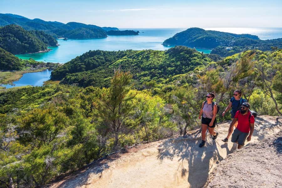 Abel Tasman National Park: Cruise, Kayak, & Hike Tour - Adele Island and the predator-free seal spotting