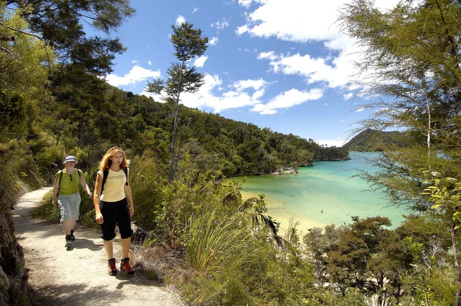 Abel Tasman National Park: Cruise, Walk & Sailing Tour - Price and value: what you get for about $122