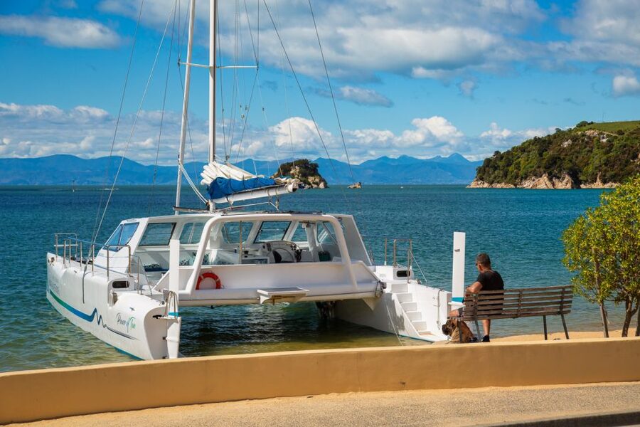 Abel Tasman National Park: Day Sailing Adventure with Lunch - Price and value: is $158 for 6 hours fair?