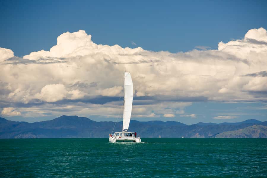 Abel Tasman National Park: Sailing and Self-Guided Walk - The Kaiteriteri departure, catamaran comfort, and the “see it twice” coastline