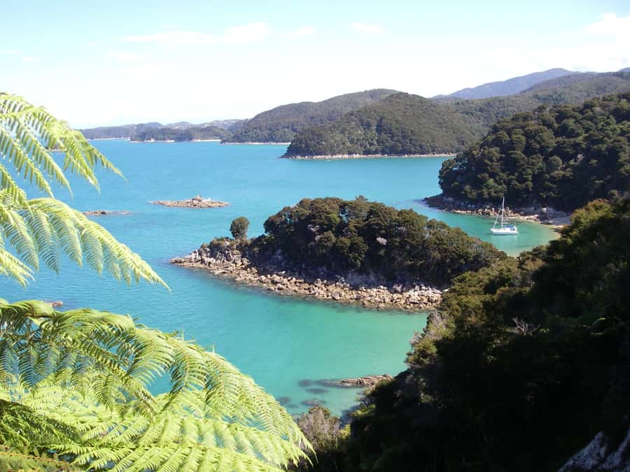 Abel Tasman National Park: Sailing and Self-Guided Walk - Anchorage Bay: your lunch break with no cafes, plus a swim option