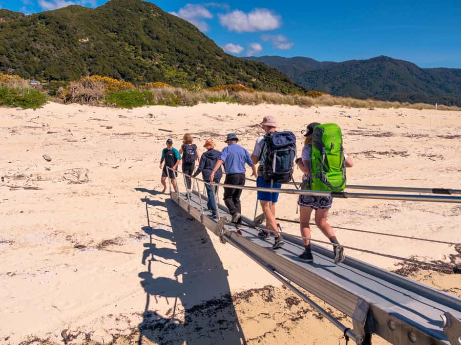 Abel Tasman: Sea Shuttle Cruise and Walking Tour Combo - Option A: Apple Tree Bay to Anchorage (7 km) and the Pitt Head add-on