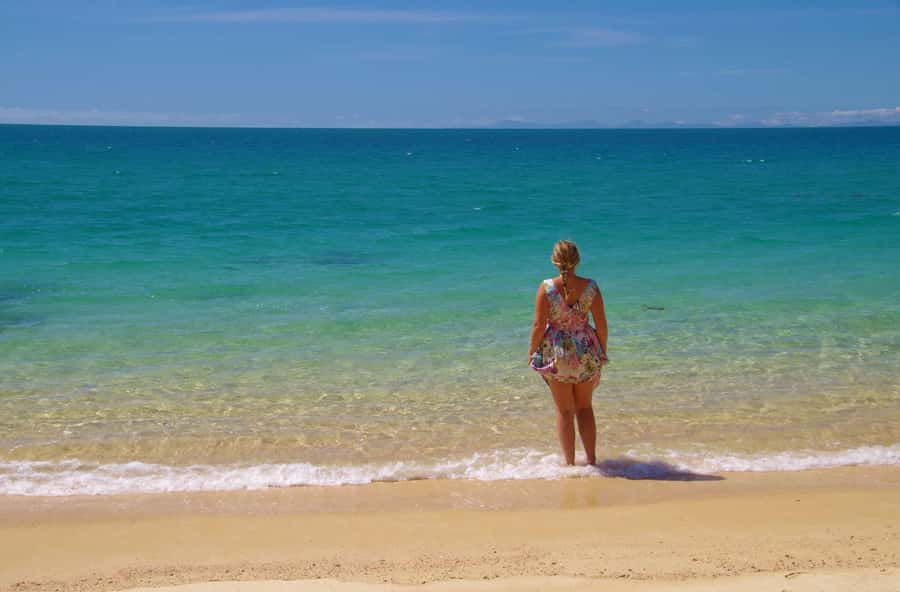 Abel Tasman: Sea Shuttle Cruise and Walking Tour Combo - Option C: Awaroa to Medlands across five beaches (8.8 km) and the Tonga Quarry climb