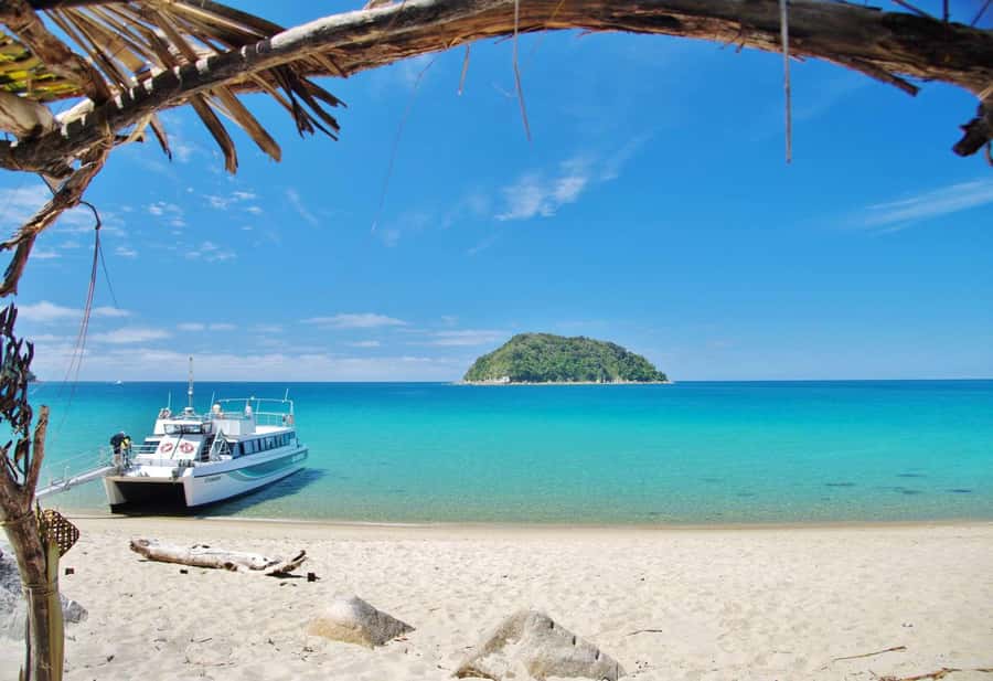 Abel Tasman: Sea Shuttle Cruise and Walking Tour Combo - Price and value at around $74: what you’re really paying for