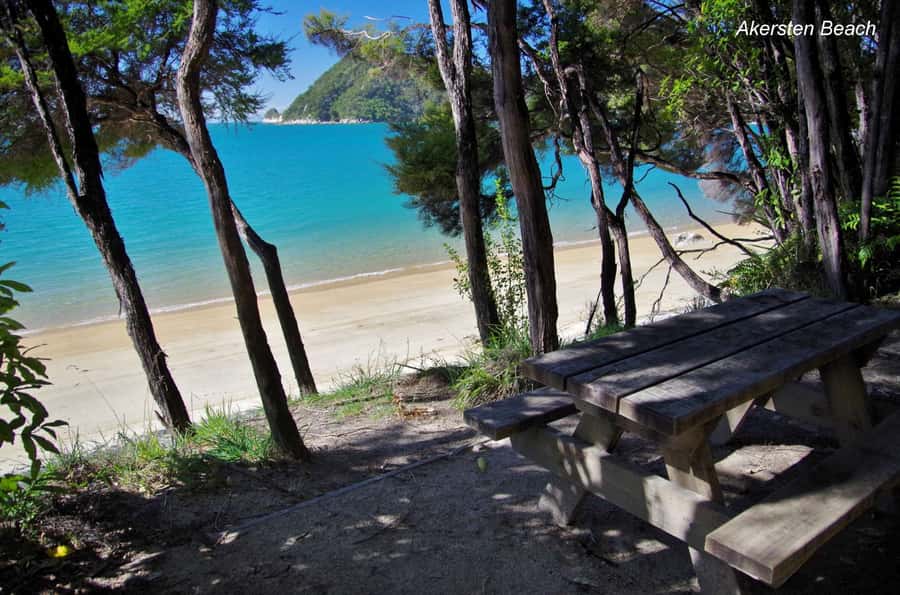 Abel Tasman: Sea Shuttle Cruise and Walking Tour Combo - What to pack and how to walk smarter on Abel Tasman trails