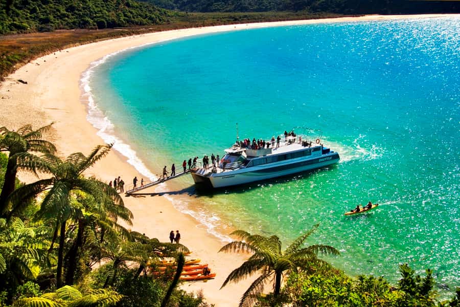 Abel Tasman: Sea Shuttle Cruise and Walking Tour Combo - Sea Shuttle cruise: Split Apple Rock, Adele Island seals, and wildlife odds