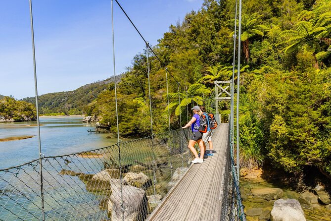 Abel Tasman Vista Cruise - The Abel Tasman Coast Track option: choose your pace, not just your duration