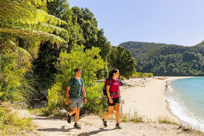 Abel Tasman Vista Cruise - Getting value for your $67.64: what’s included and what you should budget