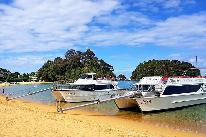 Abel Tasman Vista Cruise - Split Apple Rock: the signature stop that reads like a story