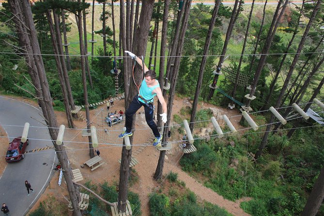 Adrenalin Forest Auckland - Gear, safety briefing, and what staff supervision really means