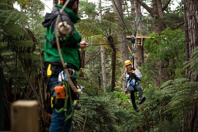 Adventurous Zipline Tour in Coromandel - Key Things I’d Mark on Your Mental Map