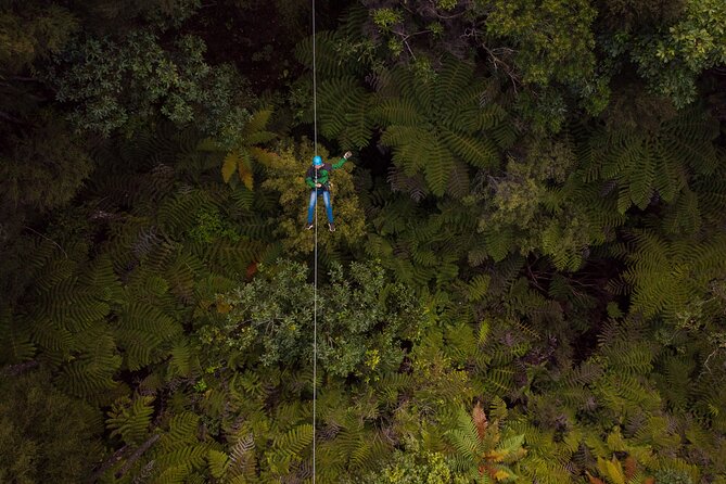 Adventurous Zipline Tour in Coromandel - Eight Ziplines Above Kauri Country