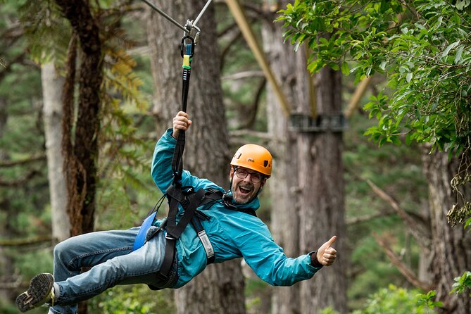 Adventurous Zipline Tour in Coromandel - What the Canopy Ride Actually Feels Like