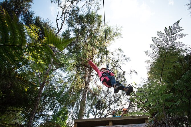 Adventurous Zipline Tour in Coromandel - The Driving Creek Story, Including Barry Brickell