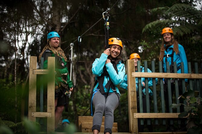 Adventurous Zipline Tour in Coromandel - Why Your Ticket Supports Restoration and Clay Arts