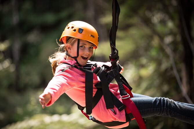 Adventurous Zipline Tour in Coromandel - Time on Your Day Plan, From Meet-Up to Back Again
