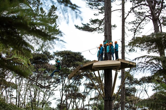 Adventurous Zipline Tour in Coromandel - Getting to the Start by Mountain Railway (Yes, That Part Matters)