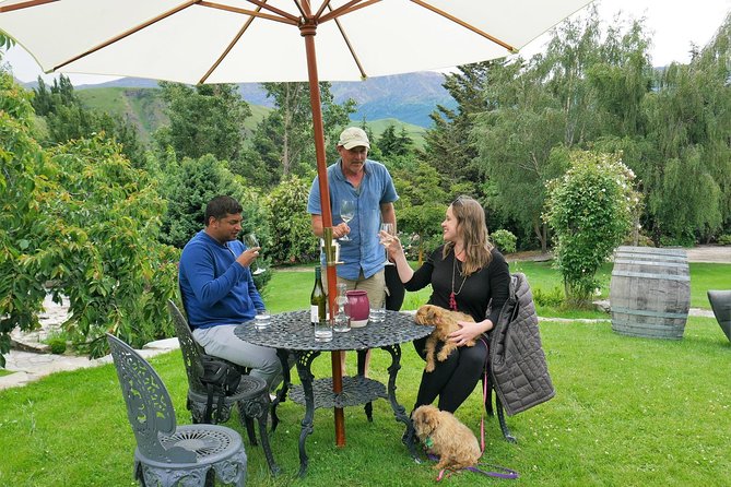 Afternoon Boutique Wine Tour - Who should book this Queenstown wine tour?