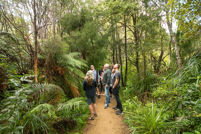 Afternoon Piha Beach and Rainforest Tour from Auckland - Piha Beach: black sand, strong surf, and the best part of the day