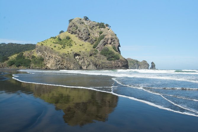Afternoon Piha Beach and Rainforest Tour from Auckland - Guides and pacing: what makes the 5 hours feel right