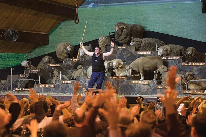 Agrodome Farm Experience including Farm Show and Farm Tour - Rotorua - Key highlights at Agrodome Farm in Rotorua