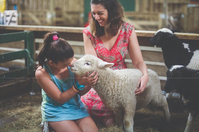 Agrodome Farm Experience including Farm Show and Farm Tour - Rotorua - Meet the animals: sheep, alpacas, llamas, and more