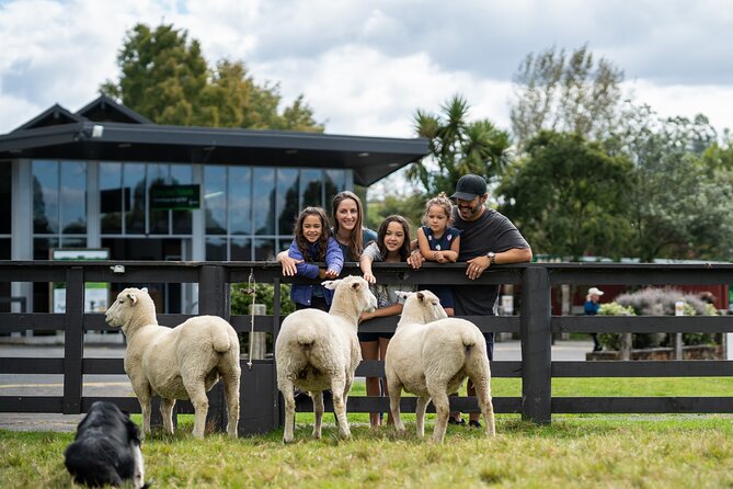 Agrodome Farm Experience including Farm Show and Farm Tour - Rotorua - What I think about the value: $40.34 for 2.5 hours of farm fun