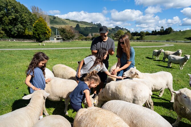 Agrodome Farm Experience including Farm Show and Farm Tour - Rotorua - Practical tips before you go
