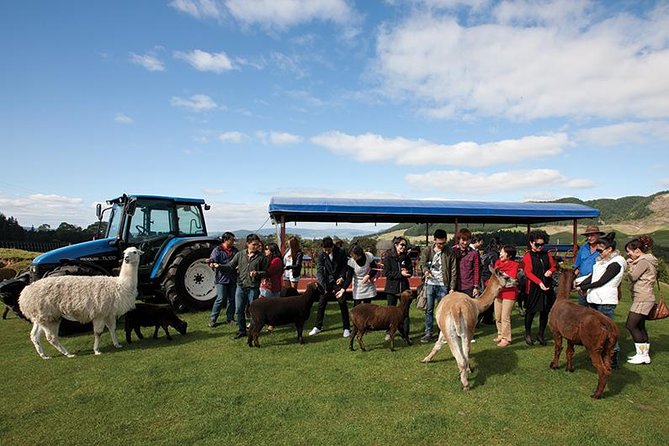Agrodome Farm Experience including Farm Show and Farm Tour - Rotorua - Who this is best for, and who might want to skip it