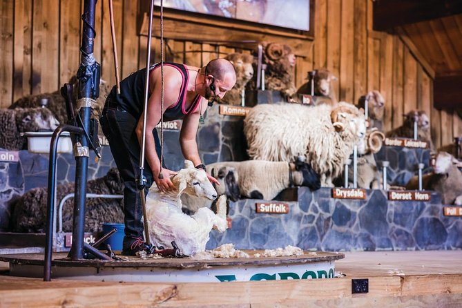 Agrodome Farm Experience including Farm Show and Farm Tour - Rotorua - Farm tour by tractor trailer across 142 hectares