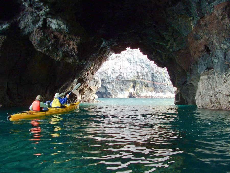 Akaroa: 4WD Safari and Guided Sea-Kayaking Experience - Should you book this 4WD Safari and Sea-Kayaking at Pohatu?