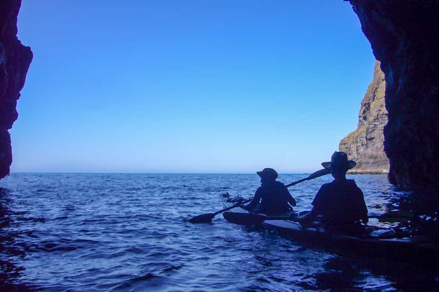 Akaroa: 4WD Safari and Guided Sea-Kayaking Experience - Pohatu Marine Reserve: cliffs, reefs, caves, and the island arch