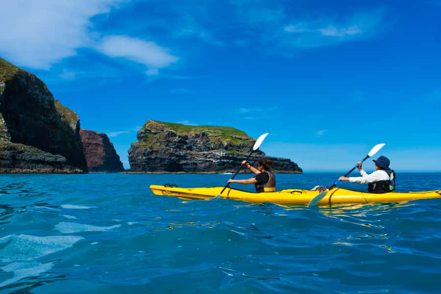 Akaroa: 4WD Safari and Guided Sea-Kayaking Experience - Who should book this Akaroa 4WD Safari and Guided Sea-Kayaking?