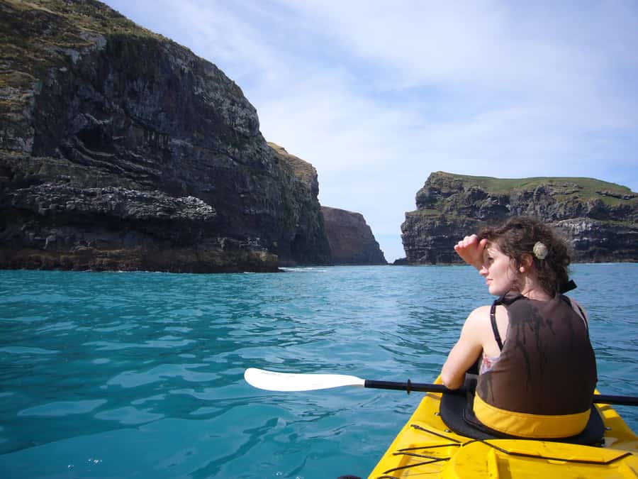 Akaroa: 4WD Safari and Guided Sea-Kayaking Experience - When the sea gets moody: managing wind and wildlife expectations