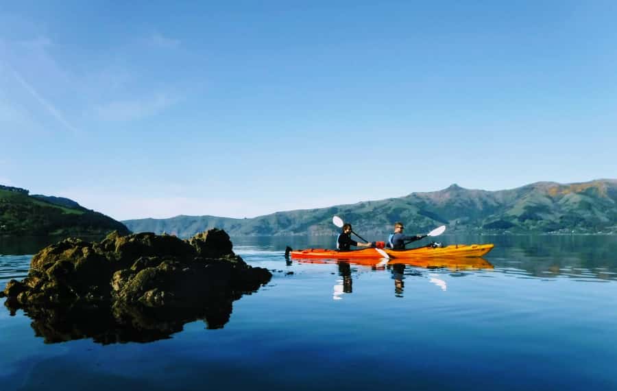 Akaroa: Akaroa Marine Reserve Sea Kayaking Tour - Key highlights you’ll actually feel on the water