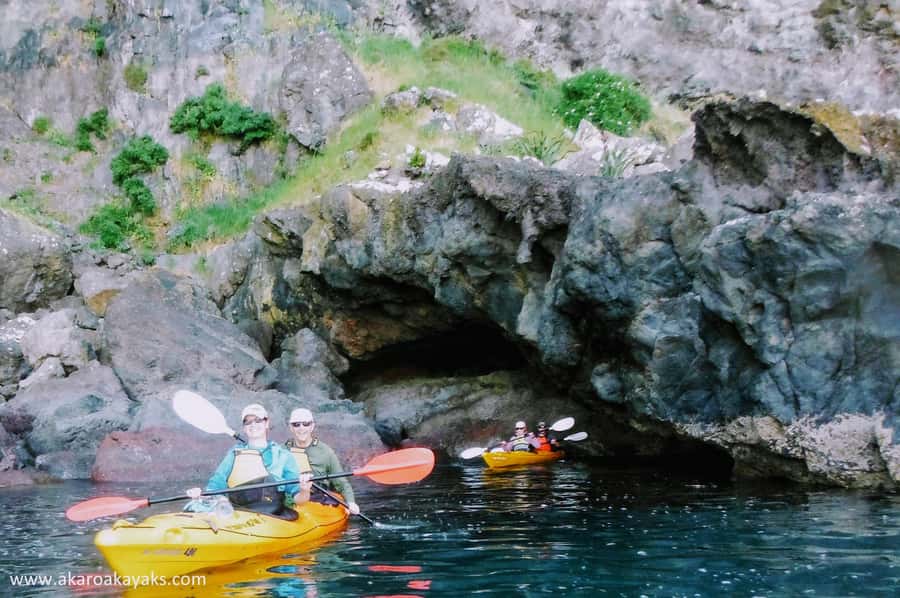 Akaroa: Akaroa Marine Reserve Sea Kayaking Tour - How the timing works in real life