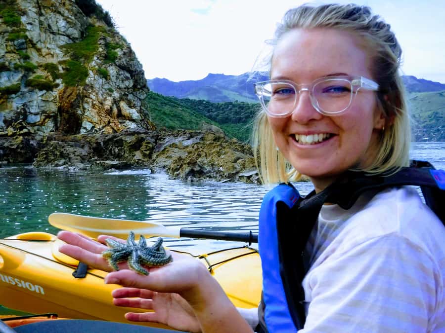 Akaroa: Akaroa Marine Reserve Sea Kayaking Tour - Caves, turns, and panoramic views you can’t fake
