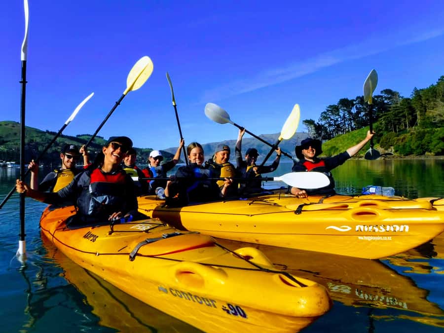 Akaroa: Akaroa Marine Reserve Sea Kayaking Tour - The guide factor: safety, storytelling, and calm pacing