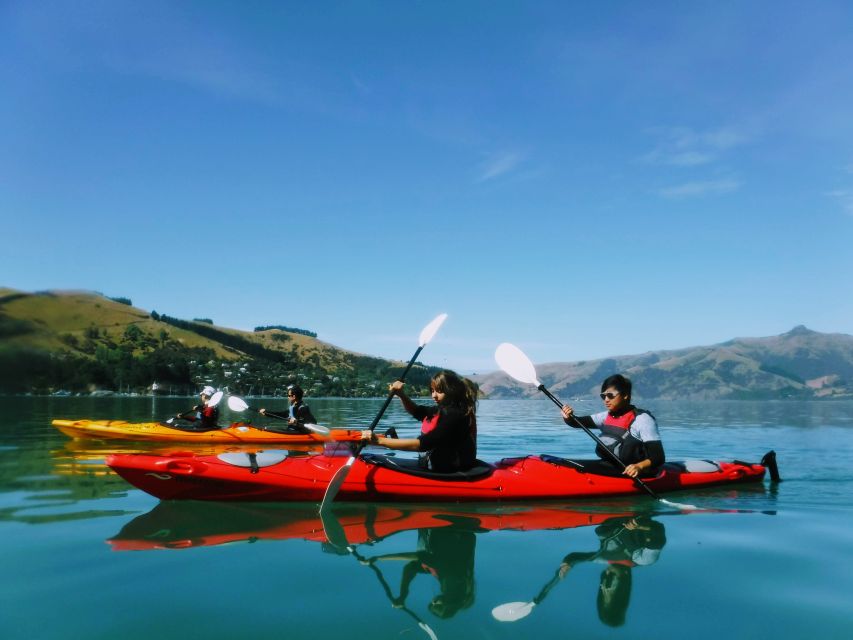 Akaroa: Akaroa Marine Reserve Sea Kayaking Tour - What to bring, what to wear, and how to avoid discomfort